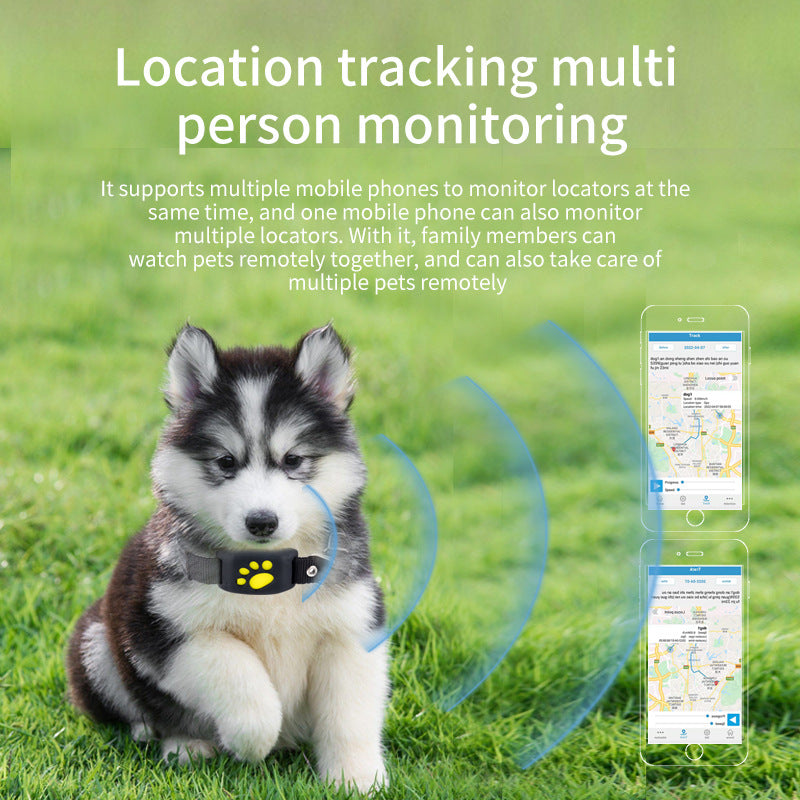 Collare GPS Smart Tracker per Cani e Gatti — SIM Card, Impermeabile