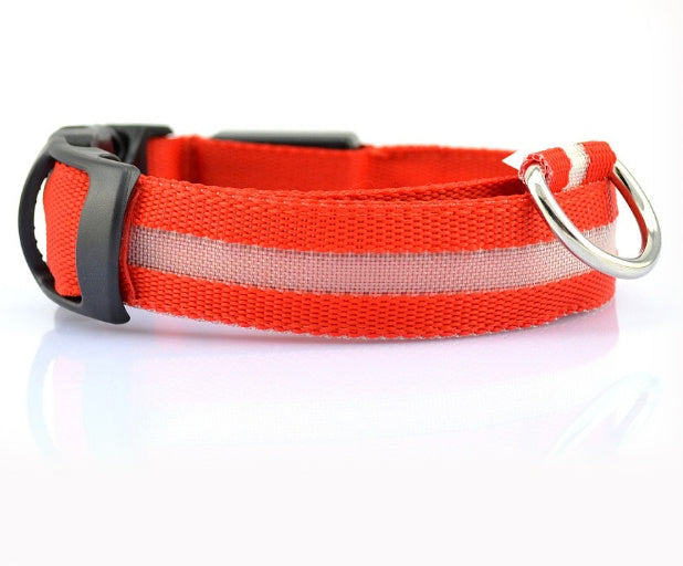 Collare LED Luminoso per Cani e Gatti — Sicurezza Notturna, Ricaricabile