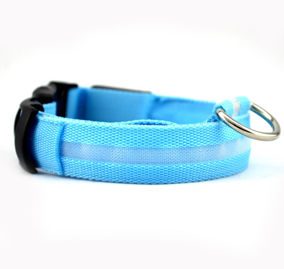 Collare LED Luminoso per Cani e Gatti — Sicurezza Notturna, Ricaricabile