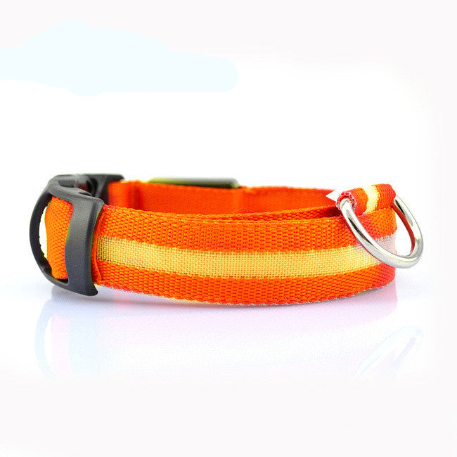 Collare LED Luminoso per Cani e Gatti — Sicurezza Notturna, Ricaricabile