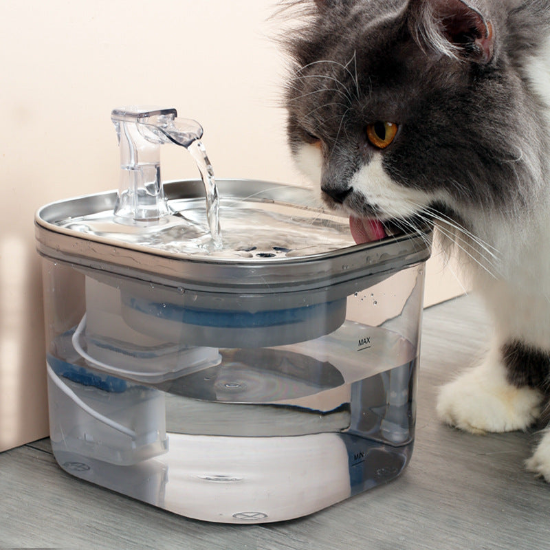 Fontana Automatica in Acciaio Inox per Cani e Gatti — Circolazione Silenziosa, Presa EU