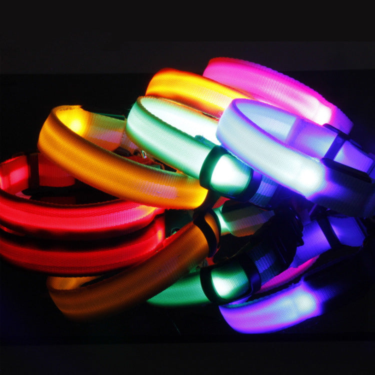 Collare LED Luminoso per Cani e Gatti — Sicurezza Notturna, Ricaricabile