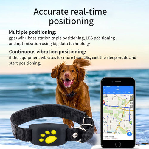 Collare GPS Smart Tracker per Cani e Gatti — SIM Card, Impermeabile