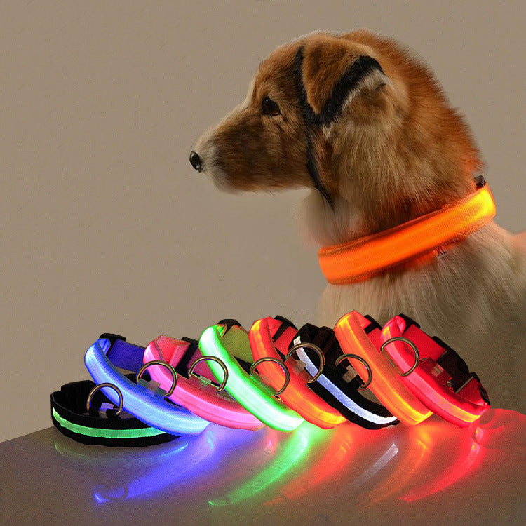 Collare LED Luminoso per Cani e Gatti — Sicurezza Notturna, Ricaricabile