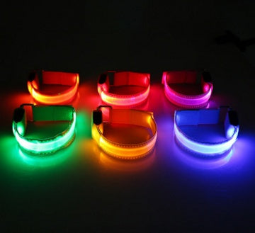 Collare LED Luminoso per Cani e Gatti — Sicurezza Notturna, Ricaricabile