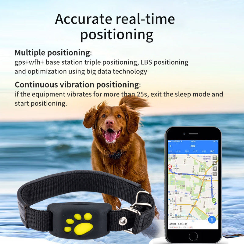 Collare GPS Smart Tracker per Cani e Gatti — SIM Card, Impermeabile