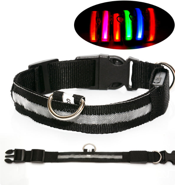 Collare LED Luminoso per Cani e Gatti — Sicurezza Notturna, Ricaricabile