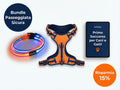 Bundle Passeggiata Sicura