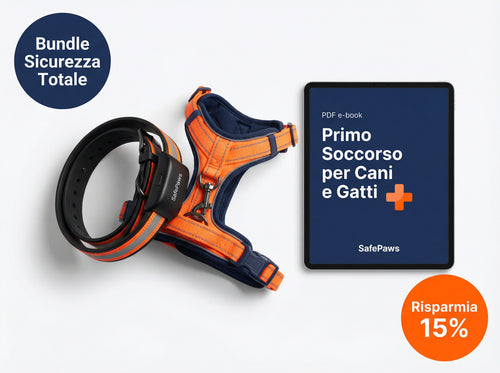 Bundle Sicurezza Totale